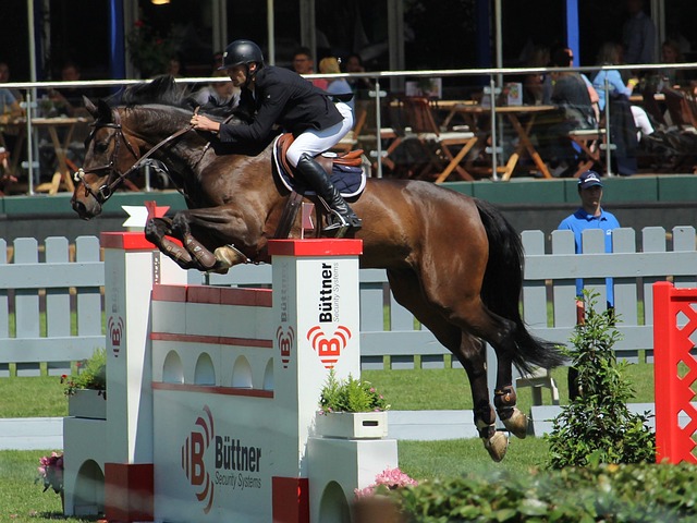 实基本功和 实基本功和