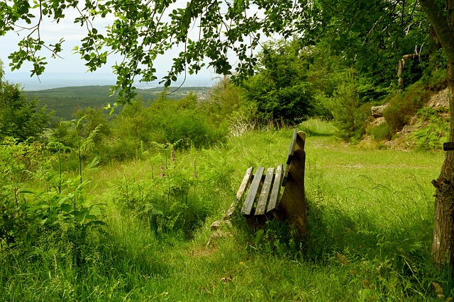 让整个球场 让整个球场