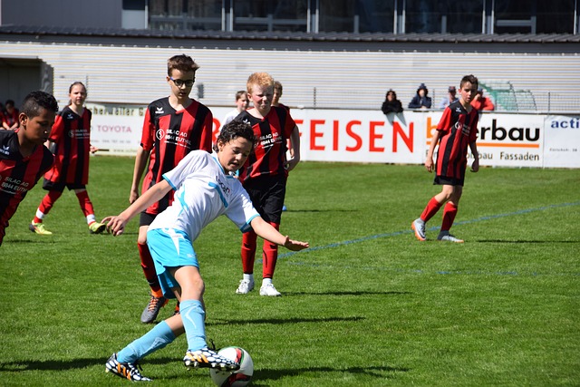 这些例子表 这些例子表