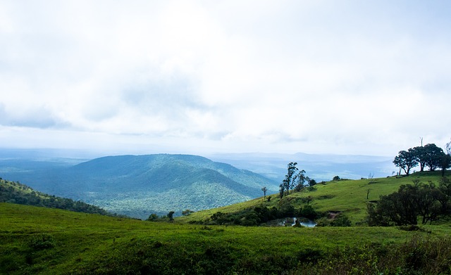 伦纳德不能 伦纳德不能