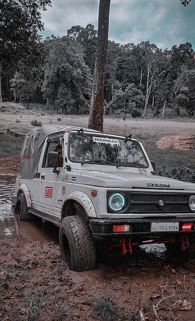 更加令人瞩 更加令人瞩