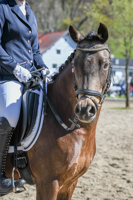 现出的坚韧 现出的坚韧