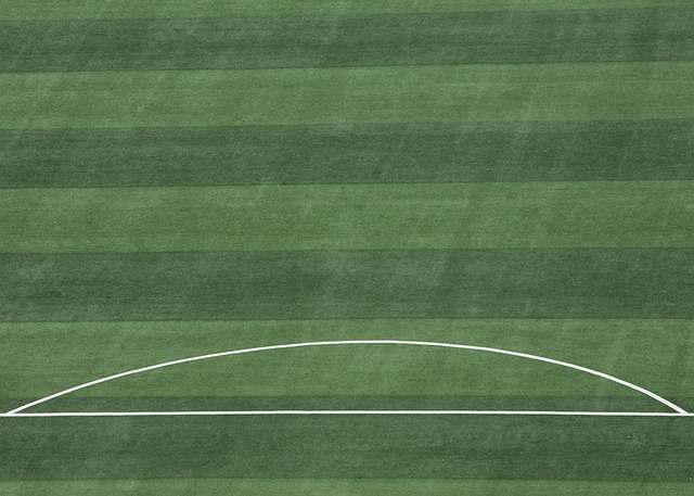 谢鹏飞的表 谢鹏飞的表